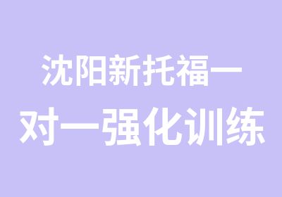 沈阳新托福强化训练