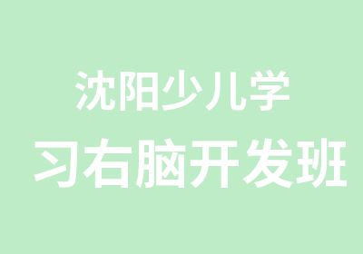 沈阳少儿学习右脑开发班