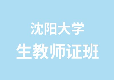 沈阳大学生教师证班