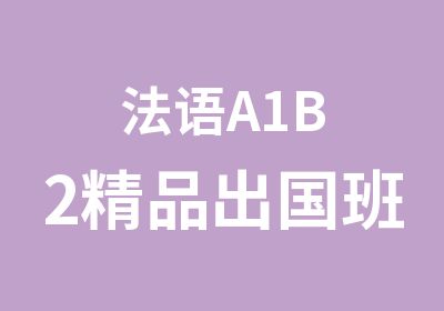 法语A1B2精品出国班