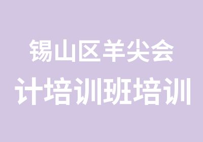 锡山区羊尖会计培训班培训课程大全