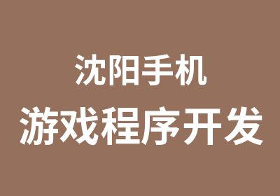 沈阳手机游戏程序开发