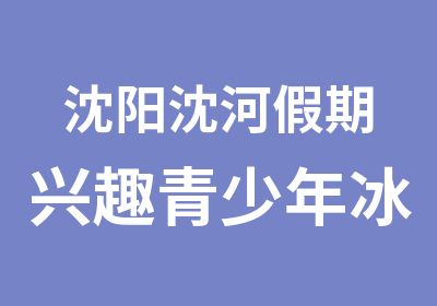 沈阳沈河假期兴趣青少年冰球培训