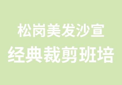 松岗美发沙宣经典裁剪班培训