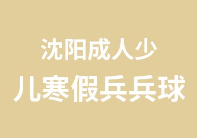 沈阳成人少儿寒假兵兵球