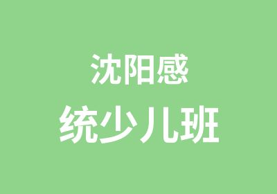 沈阳感统少儿班