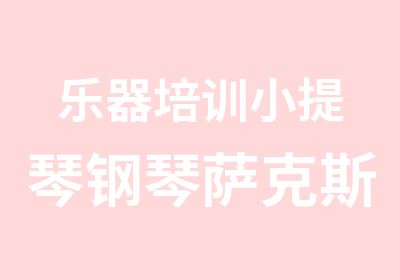 乐器培训小提琴钢琴萨克斯暑假班招生中