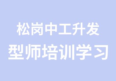 松岗中工升发型师培训学习班