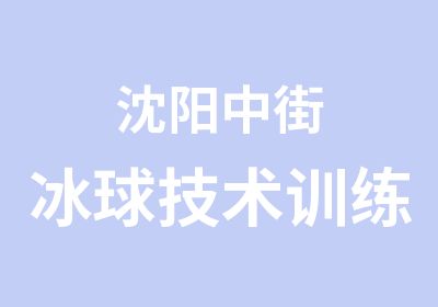 沈阳中街冰球技术训练