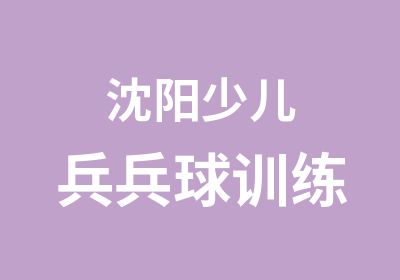 沈阳少儿兵兵球训练