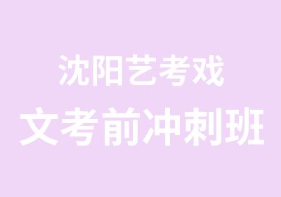 沈阳艺考戏文考前冲刺班