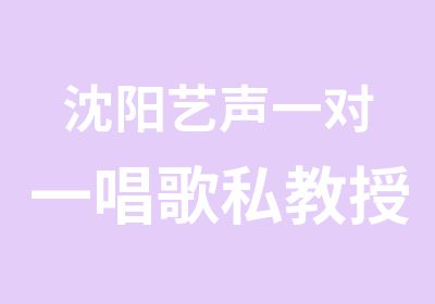 沈阳艺声唱歌私教授课