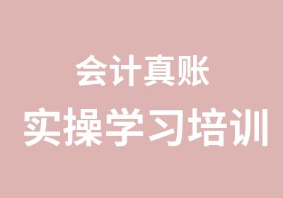 会计真账实操学习培训