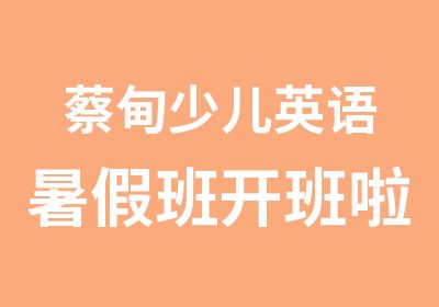 蔡甸少儿英语暑假班开班啦