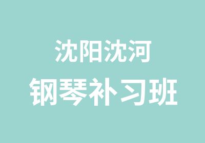 沈阳沈河钢琴补习班