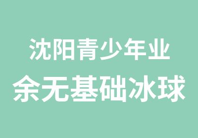 沈阳青少年业余无基础冰球训练