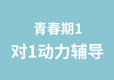 青春期1对1动力辅导