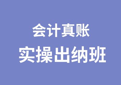 会计真账实操出纳班