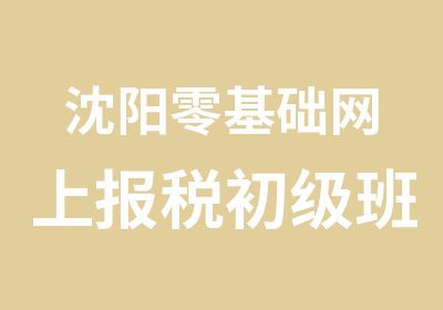 沈阳零基础网上报税初级班