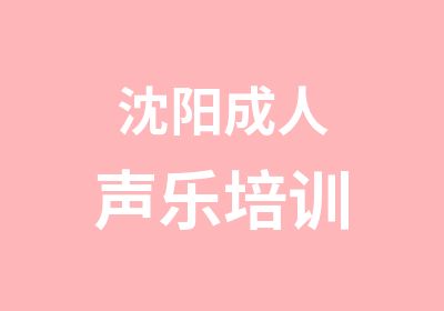 沈阳成人声乐培训