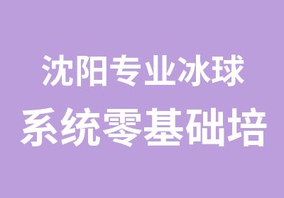 沈阳专业冰球系统零基础培训