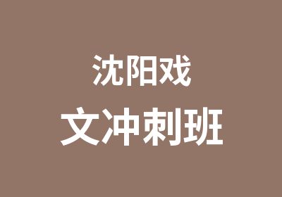 沈阳戏文冲刺班