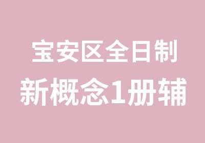 宝安区新概念1册辅导学习班