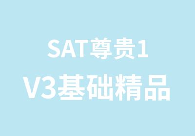 SAT尊贵1V3基础精品小班