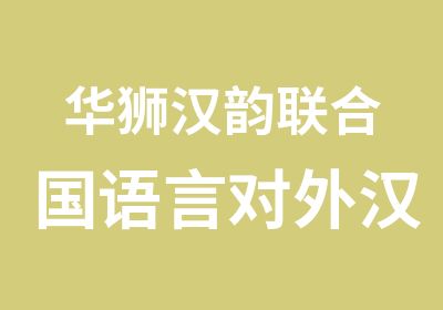 华狮汉韵联合国语言对外汉语培训项目