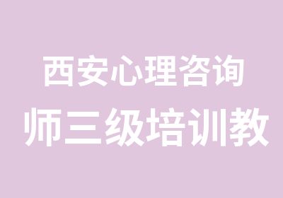 西安心理咨询师三级培训教材编委讲课