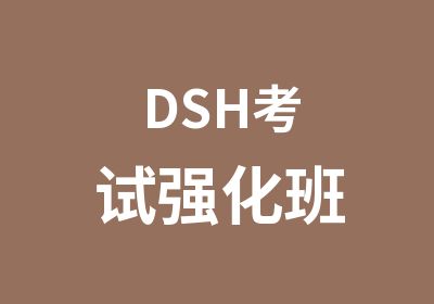 DSH考试强化班