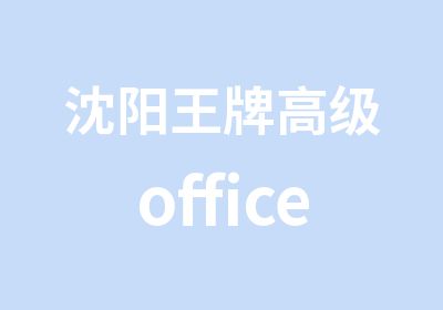 沈阳office学习