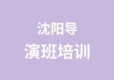 沈阳导演班培训