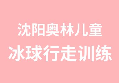 沈阳奥林儿童冰球行走训练