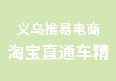 义乌推易电商直通车精英培训班