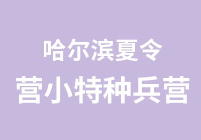 哈尔滨夏令营小特种兵营