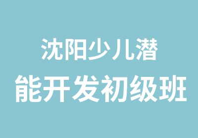 沈阳少儿潜能开发初级班