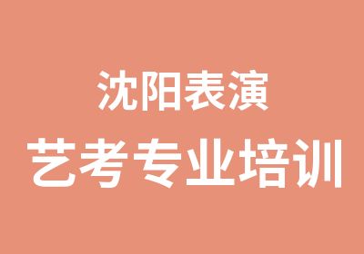 沈阳表演艺考专业培训