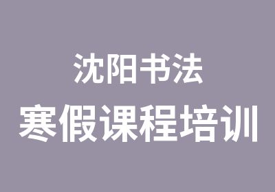 沈阳书法寒假课程培训