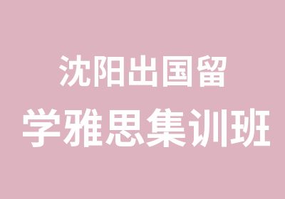 沈阳出国留学雅思集训班