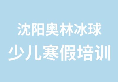 沈阳奥林冰球少儿寒假培训