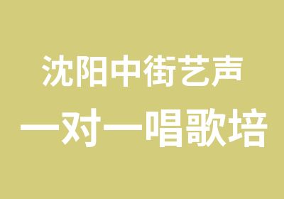 沈阳中街艺声唱歌培训