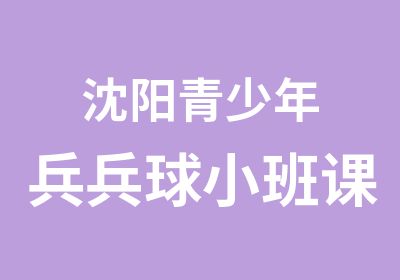 沈阳青少年兵兵球小班课