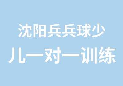 沈阳兵兵球少儿训练