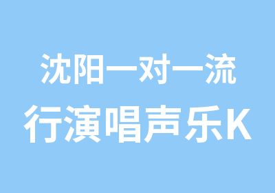 沈阳流行演唱声乐KTV专业班