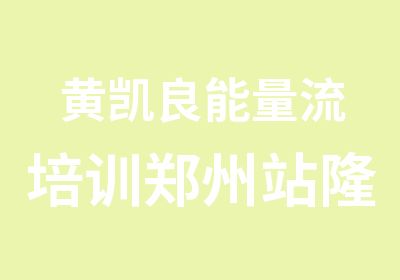 黄凯良能量流培训郑州站隆重开讲了