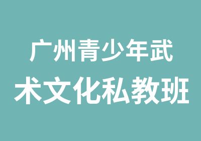 广州青少年武术文化私教班培训