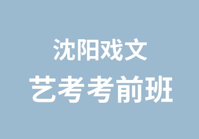 沈阳戏文艺考考前班