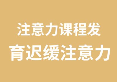 注意力课程发育迟缓注意力不集中好动