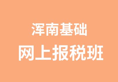 浑南基础网上报税班